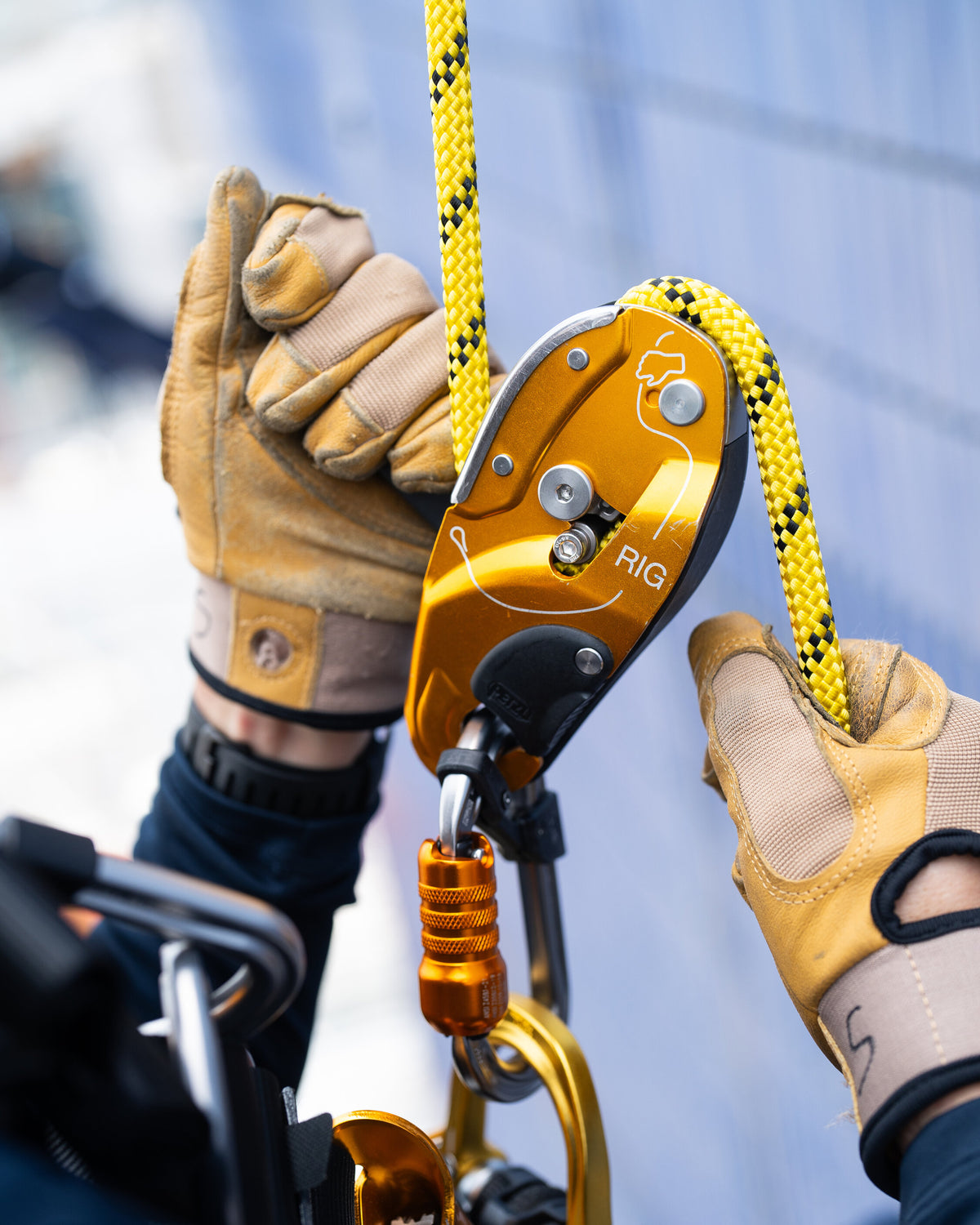 Petzl RIG